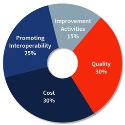 2025 MIPS Categories Breakdown