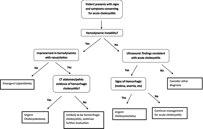 Figure 4. A proposed algorithm for management of suspected hemorrhagic cholecystitis.