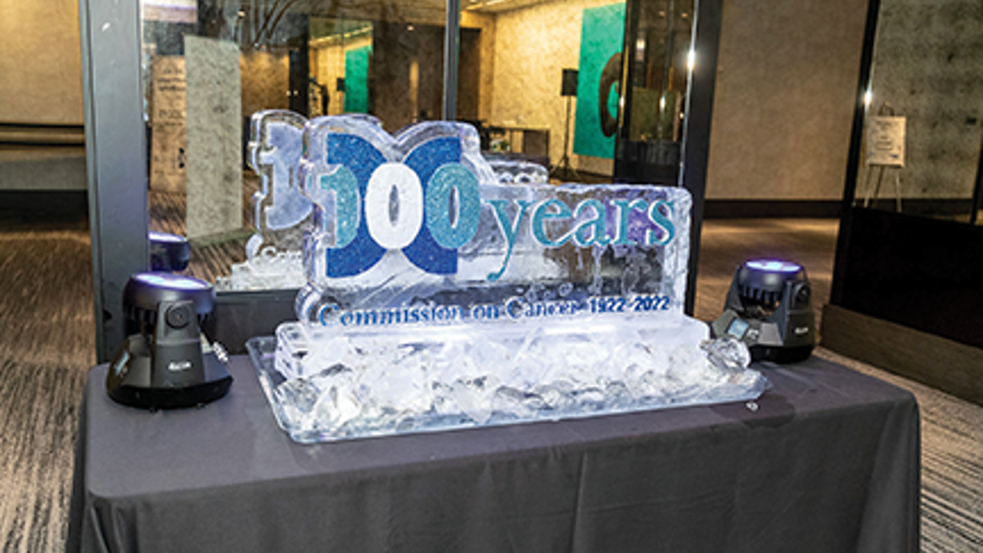WEB Ice Sculpture ACS03222201 004