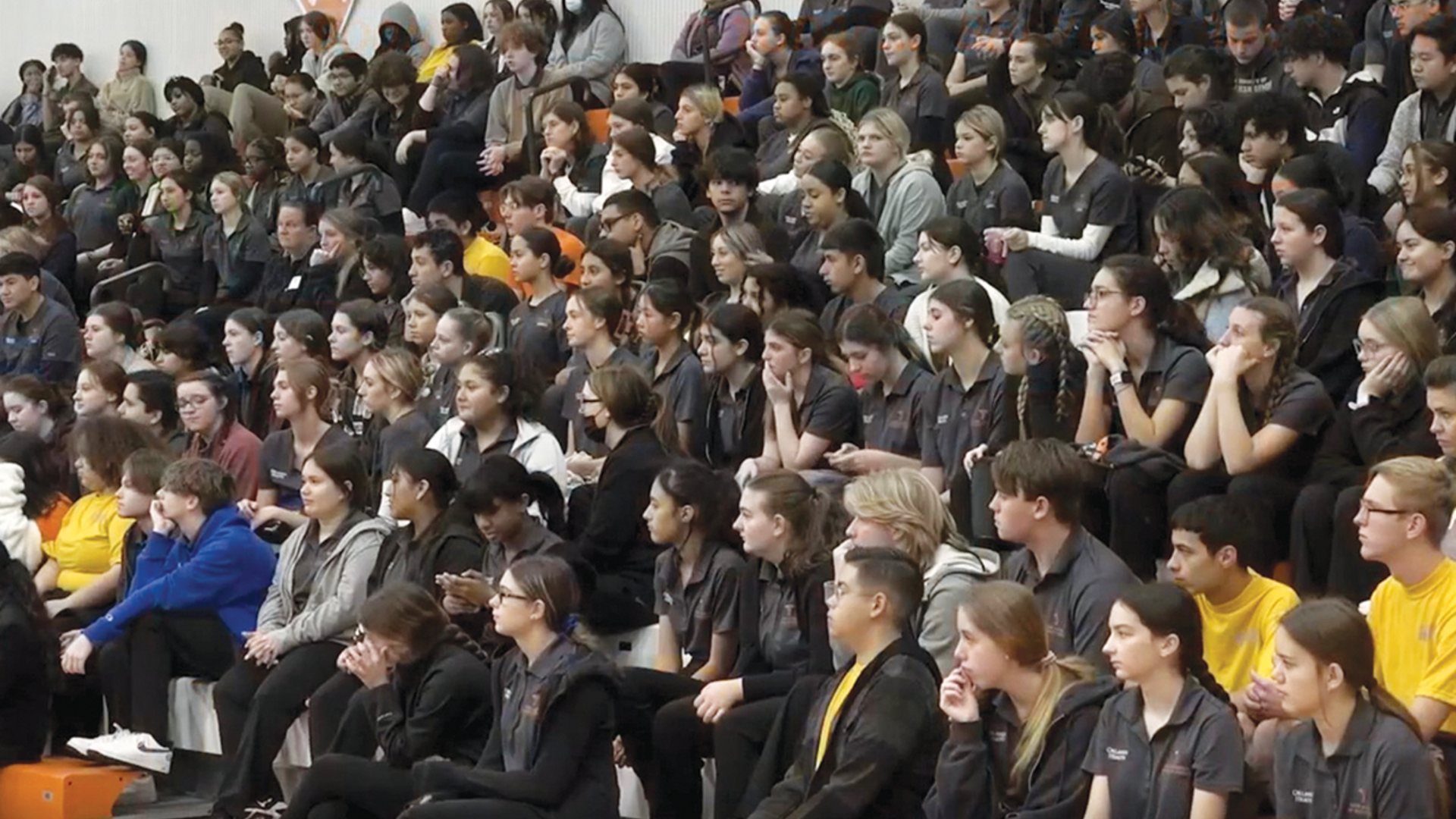 23febull-east-3.png